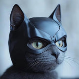 Feline Bat Mask Toy