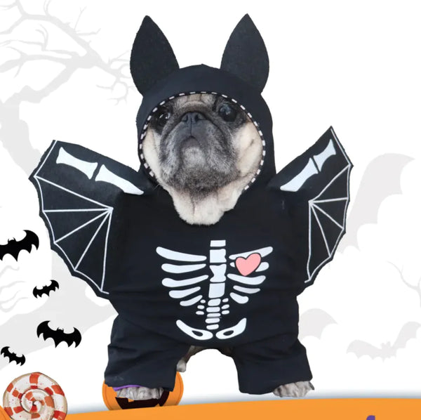 Midnight Bat Dog Outfit