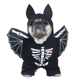 Midnight Bat Dog Outfit