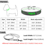 Luxurious Bling Pet Collar