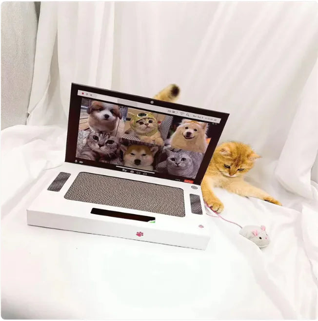 Eco-Friendly Notebook Cat Scratcher