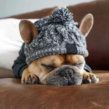 Windproof Woolen Pet Hat