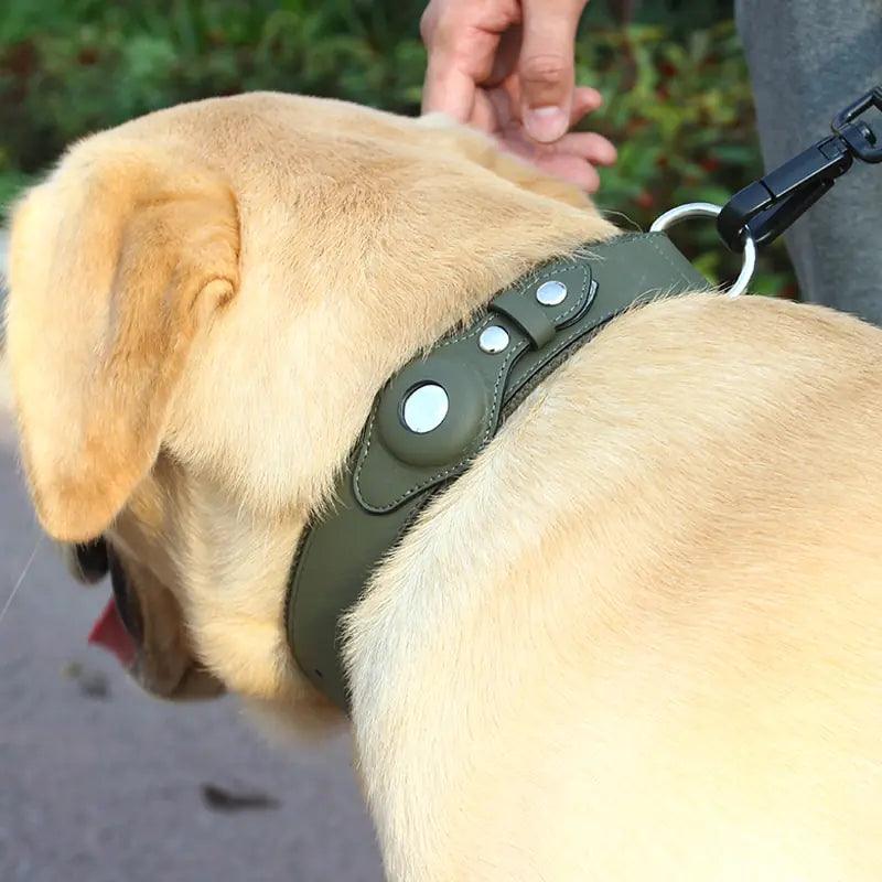 Dog Airtag Collar