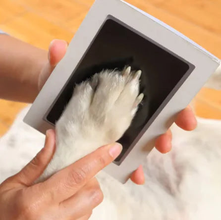 No-Mess Paw & Handprint Kit