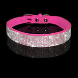 Luxurious Bling Pet Collar